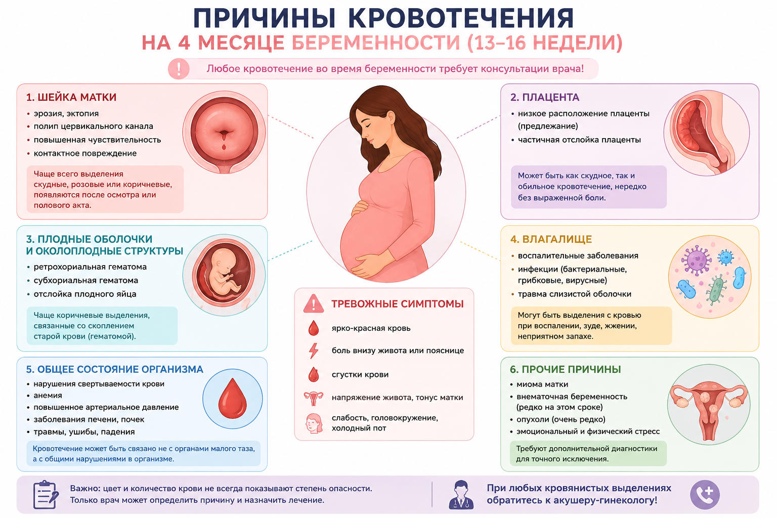 Инфографика причины кровотечения на 4 месяце беременности