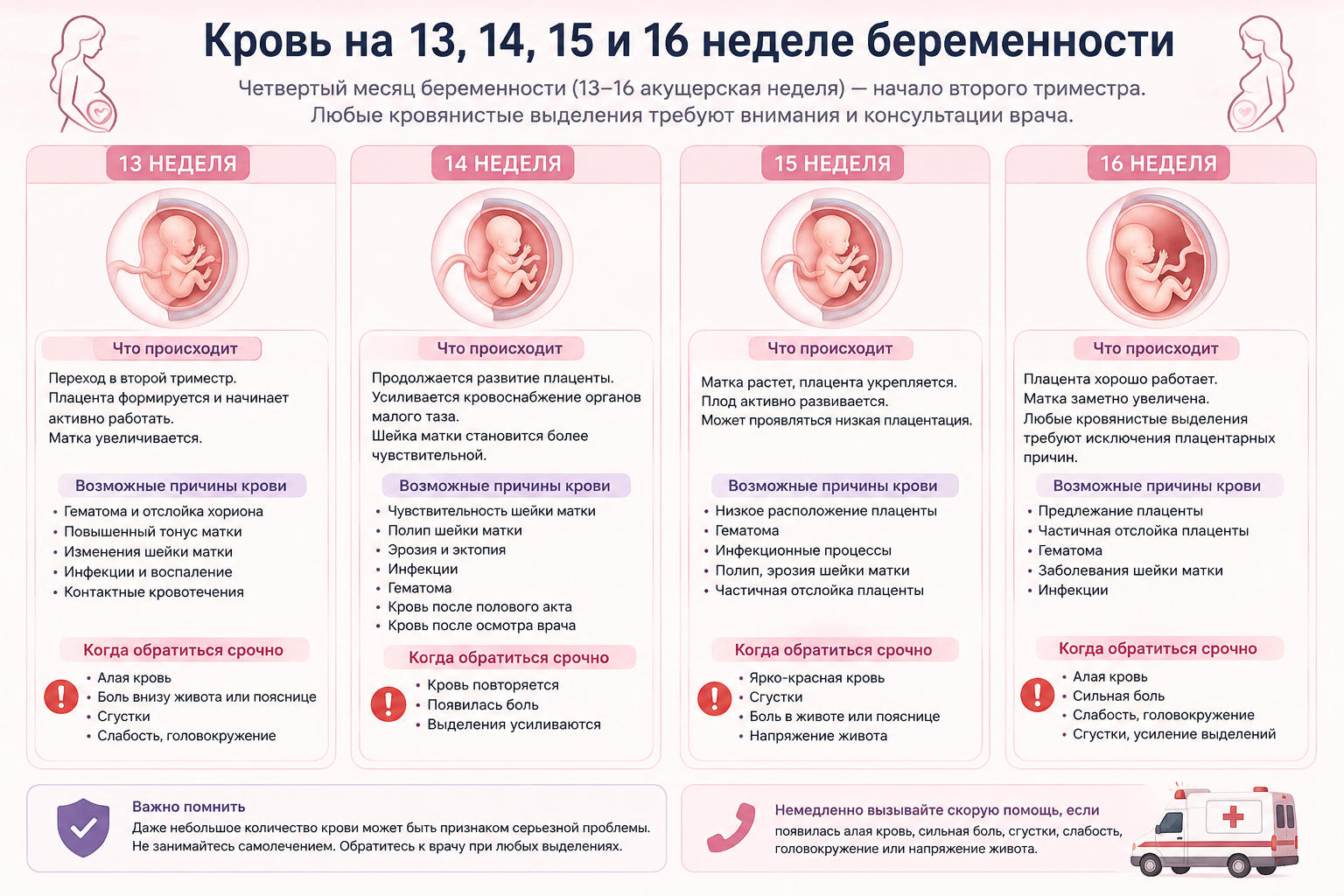 Кровь на 13 14 15 и 16 неделе беременности