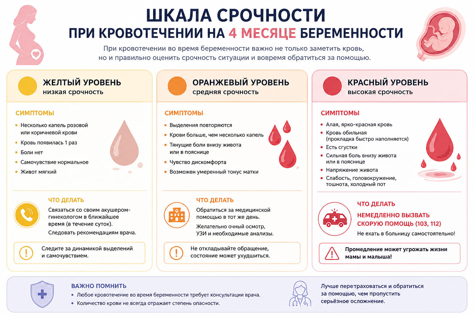 Шкала срочности при кровотечении на 4 месяце беременности